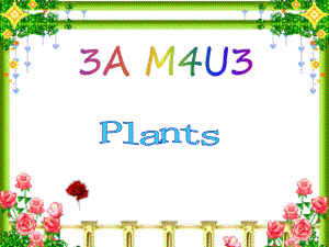 小学三年级英语ppt课件-Plants.ppt