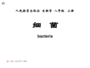第二节细菌 (3).ppt