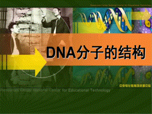 DNA分子结构ppt课件.ppt