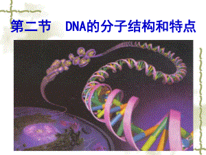 DNA的分子结构和特点-ppt课件.ppt