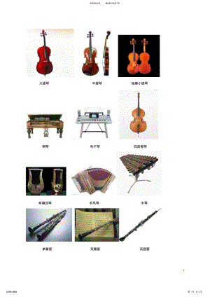 2022年常见乐器名称+乐器图片 .pdf