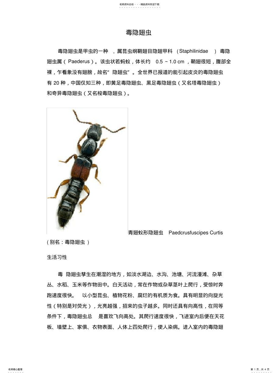 2022年隐翅虫的生活习性[分享 .pdf_第1页