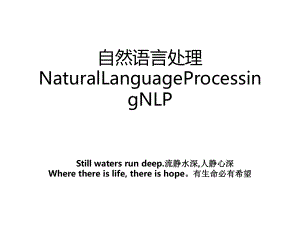 自然语言处理NaturalLanguageProcessingNLP.ppt