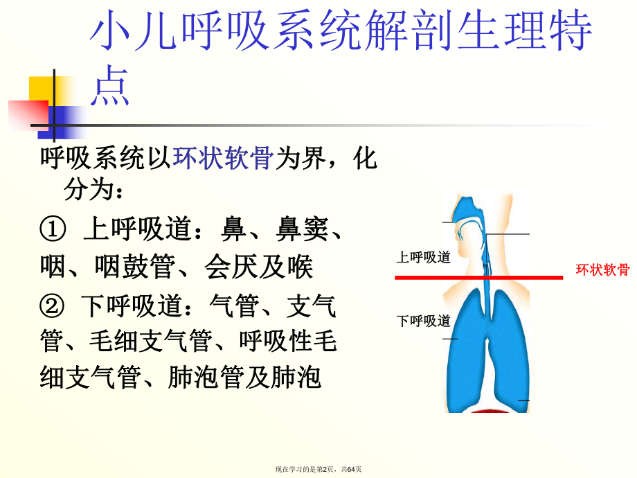 呼吸系统疾病患儿的护理 (4).ppt_第2页