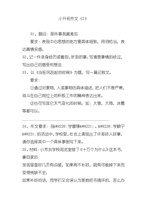 小升初作文(2).pdf