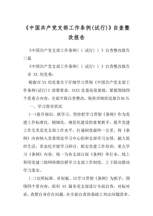 中国共产党支部工作条例(试行)自查整改报告.docx