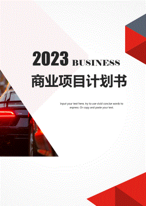 2023年商业项目创业项目计划书.docx