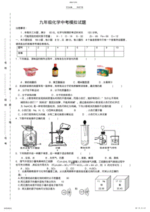 2022年中考模拟化学试卷 .pdf
