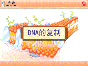 DNA的复制PPT课件.ppt