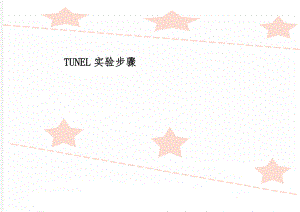 TUNEL实验步骤-8页word资料.doc