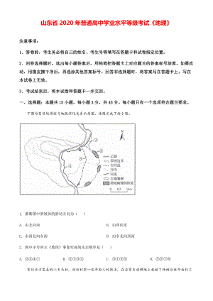 2020年山东省高考地理模拟试卷（新高考）（原卷版）【打印版】.pdf