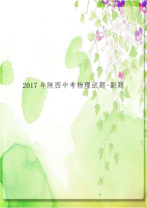 2017年陕西中考物理试题-副题.doc