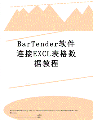 最新BarTender软件连接EXCL表格数据教程.doc