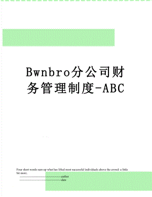 最新Bwnbro分公司财务管理制度-ABC.doc