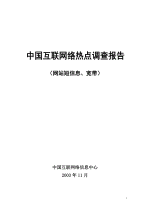 最新中国互联网络调查报告(2006).doc