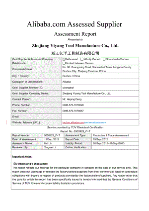 XX工具制造公司 alibaba产能报告Assessment Report.doc