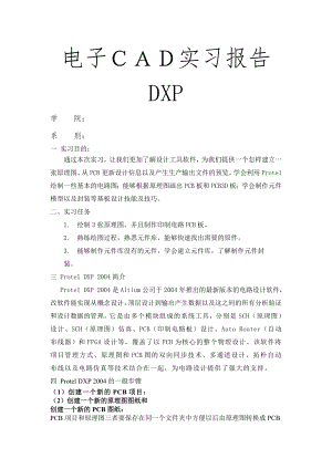 DP实习报告.doc