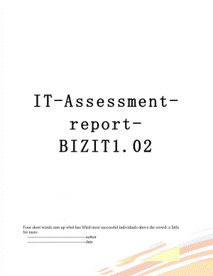 最新IT-Assessment-report-BIZIT1.02.doc