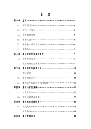 重庆西部国际汽车城项目可行性研究报告-100DOC.doc