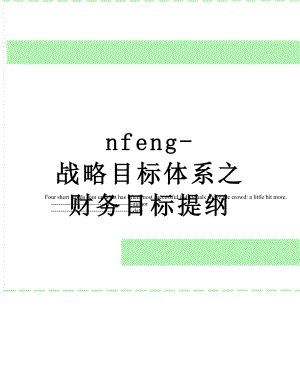 最新nfeng-战略目标体系之财务目标提纲.doc