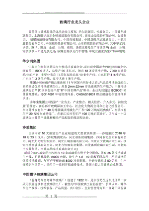 中国玻璃行业龙头企业排名(一)(8页).doc
