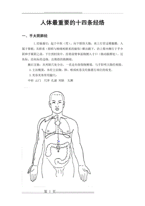 人体十四条经络(19页).doc