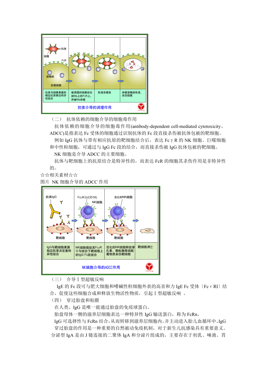 免疫球蛋白2第二节免疫球蛋白的生物学活性.doc_第2页