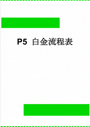 P5 白金流程表(27页).doc