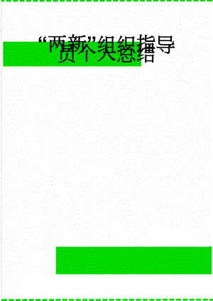 “两新”组织指导员个人总结(4页).doc