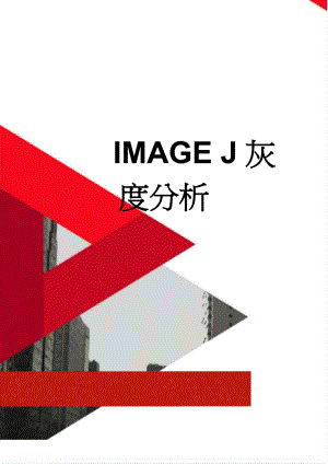 IMAGE J灰度分析(2页).doc