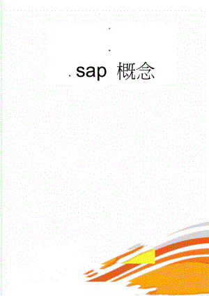 sap 概念(32页).doc