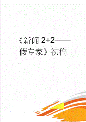 新闻2+2假专家初稿(3页).doc