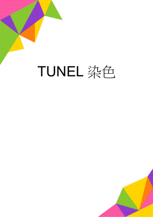 TUNEL染色(3页).doc