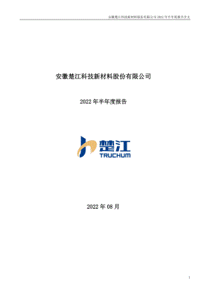 楚江新材：2022年半年度报告.PDF
