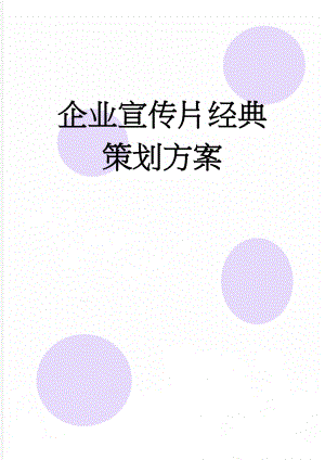 企业宣传片经典策划方案(11页).doc
