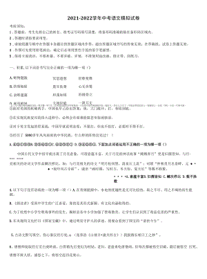 湖南省新化县重点名校2022年毕业升学考试模拟卷语文卷含解析.docx