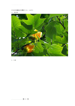 常见园林绿化植物图片大全(81页).doc