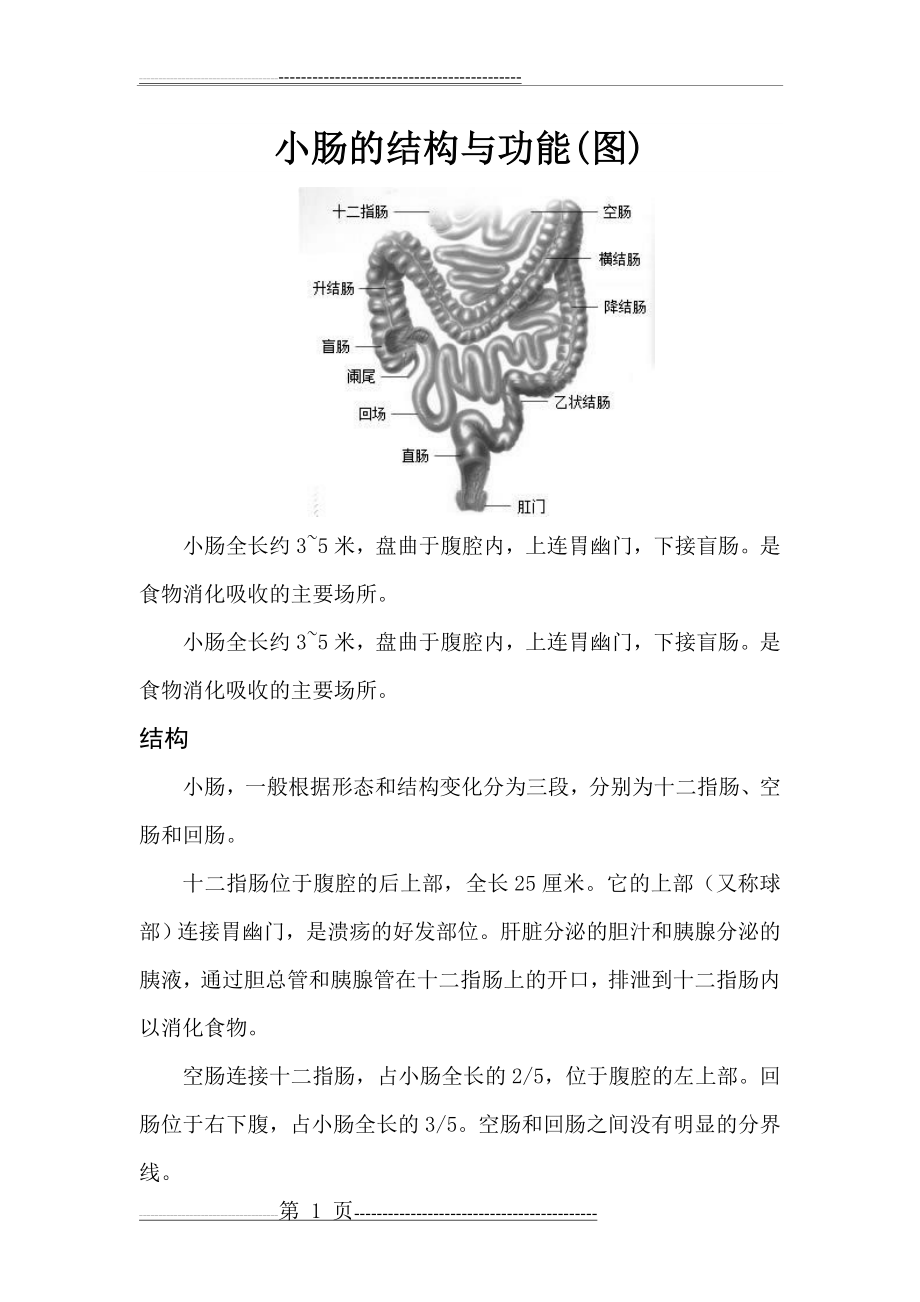 小肠的结构与功能(图)(6页).doc_第1页