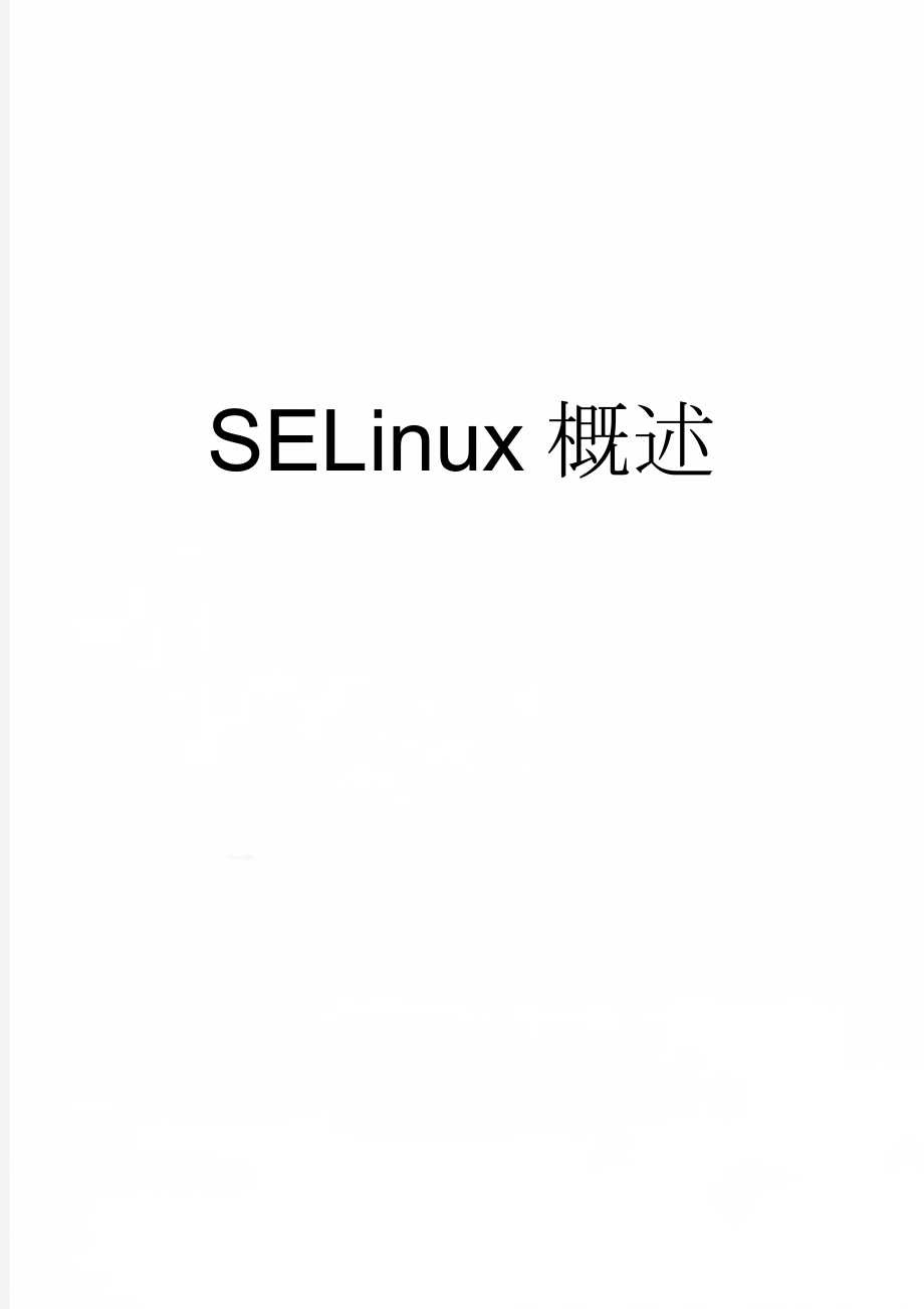 SELinux概述(90页).doc_第1页