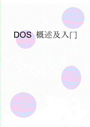 DOS 概述及入门(52页).doc