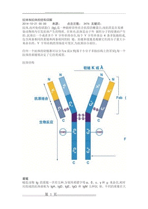 抗体和抗体的结构详解(4页).doc