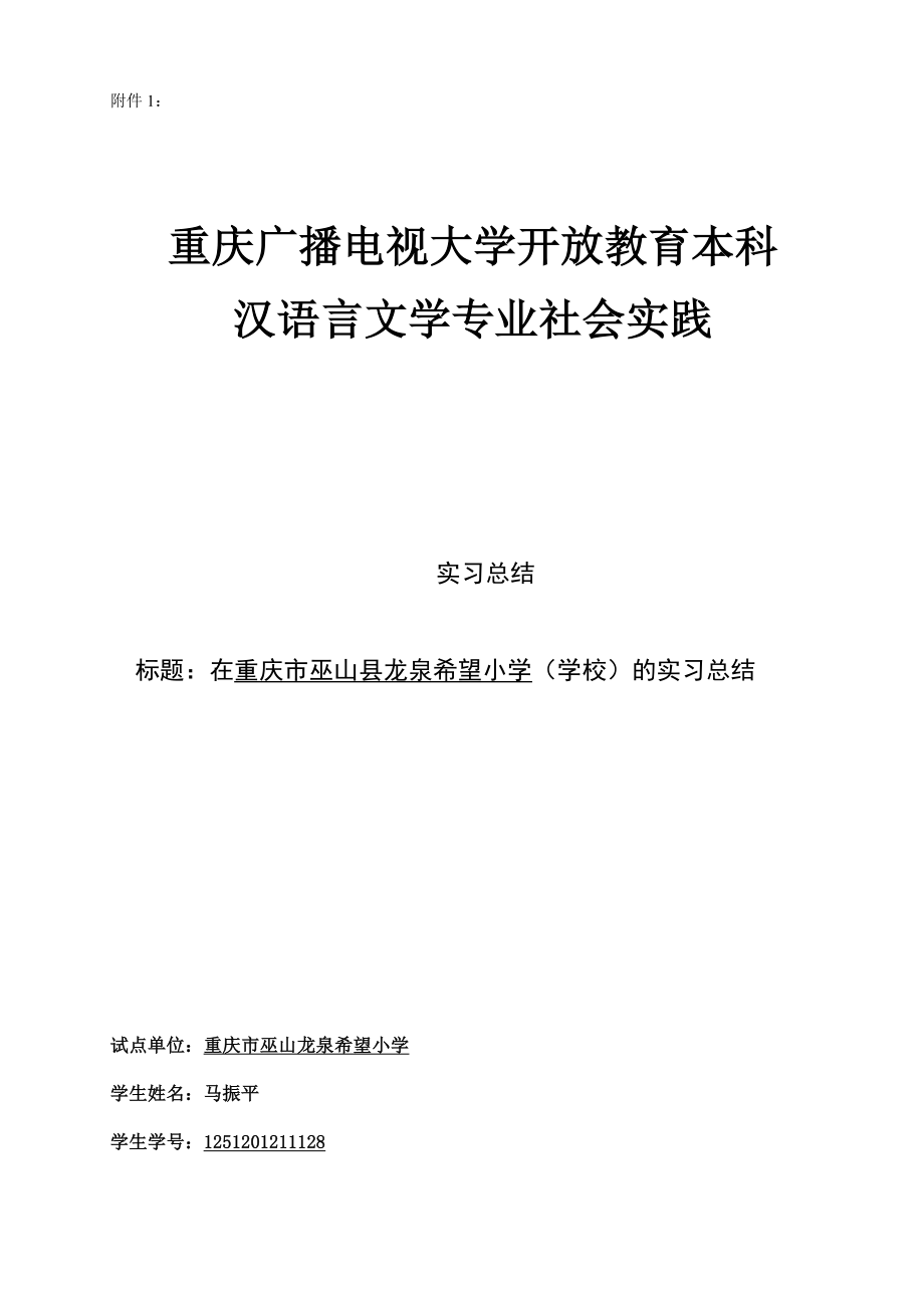 汉语言文学专业社会实践报告[1].doc_第1页