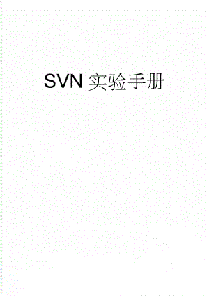 SVN实验手册(13页).doc