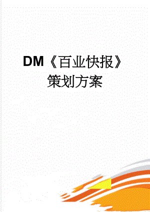DM百业快报策划方案(4页).doc