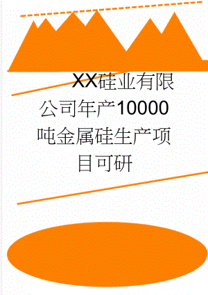 XX硅业有限公司年产10000吨金属硅生产项目可研(87页).doc