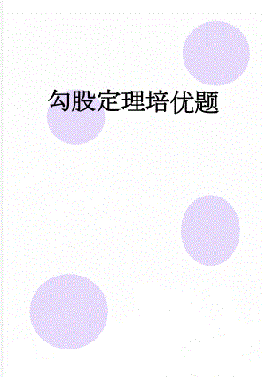 勾股定理培优题(5页).doc