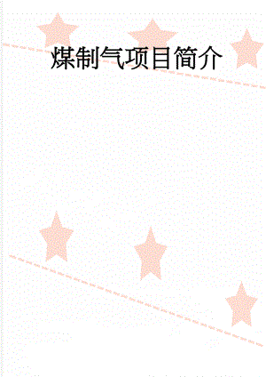 煤制气项目简介(19页).doc
