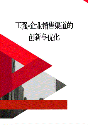 王强-企业销售渠道的创新与优化(11页).doc