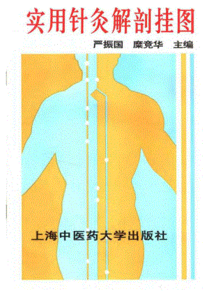 实用针灸解剖挂图.pdf