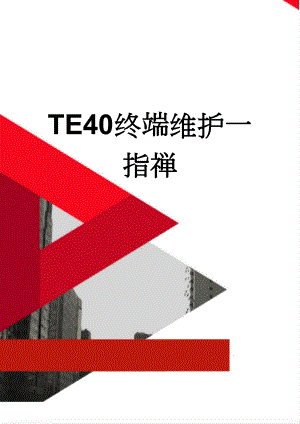 TE40终端维护一指禅(5页).doc